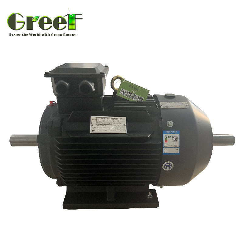 Động cơ điện từ vĩnh cửu 220V 750W-5MW mô-tơ mô-tô với động cơ tần số biến