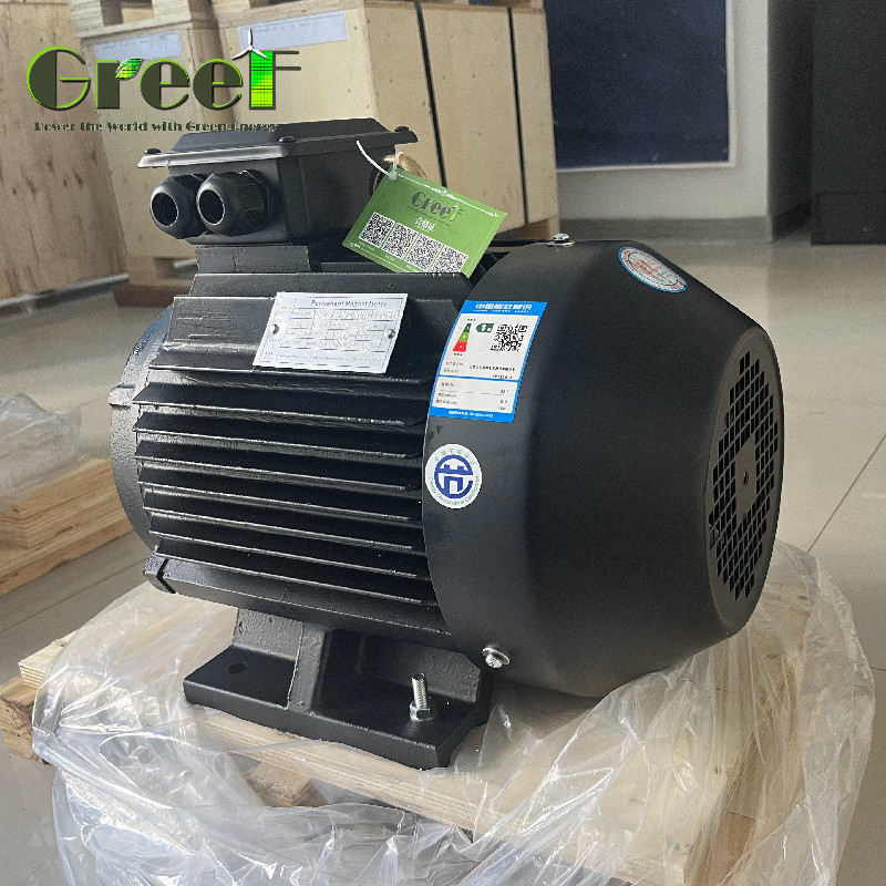 Động cơ điện từ vĩnh cửu 220V 750W-5MW mô-tơ mô-tô với động cơ tần số biến