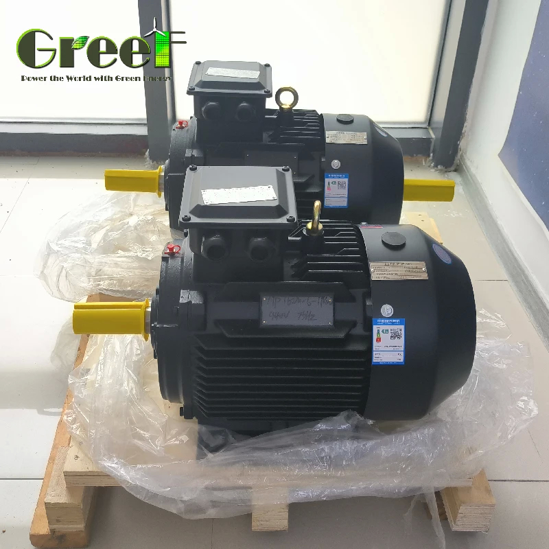 Động cơ nam châm vĩnh cửu mô-men xoắn cao IP54 50Hz cho máy bơm nước AC 3Phase