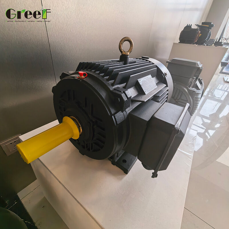 Động cơ nam châm vĩnh cửu có thể tùy biến với điện trở cách nhiệt 100Mohm Min 500Vdc, lớp cách nhiệt F và phạm vi tốc độ 0-3000 RPM