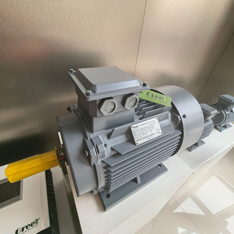 Động cơ nam châm vĩnh cửu được gắn trên vòm IP54 với 0-3000 rpm cho các ứng dụng công nghiệp