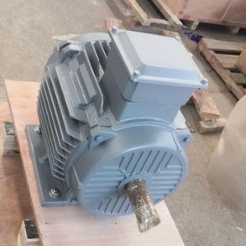 Động cơ nam châm vĩnh cửu không chải 24V-1140V Cung cấp Cấp độ phân loại IP54 tối ưu cho các giải pháp máy móc tự động hóa và năng lượng