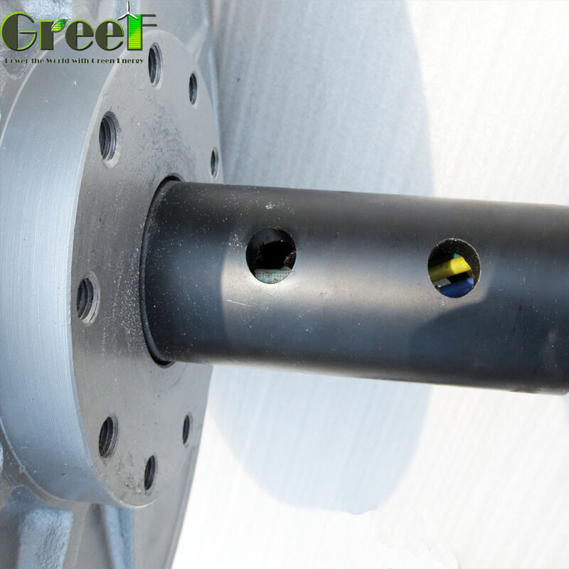 Rare Earth Permanent Magnet Multi-poles Coreless Permanent Magnet Generator with Customized Rated Voltage for Power Conversion