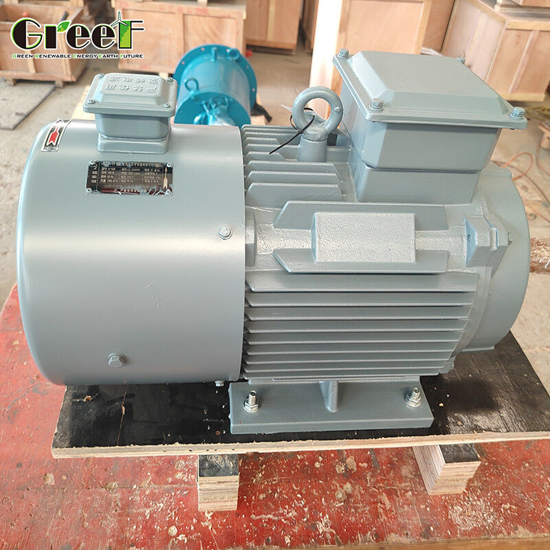 Động cơ Đồng bộ Nam châm Vĩnh cửu Không Trượt với 1500 vòng/phút và 380V cho Hoạt động Tốc độ Ổn định