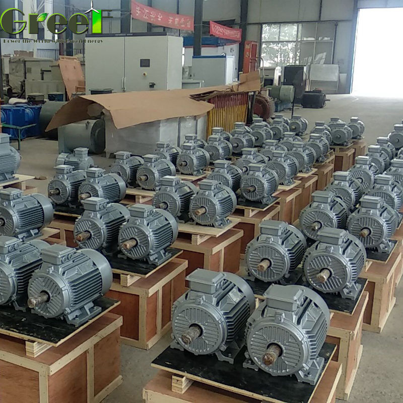 1MW 380Vac năng lượng tự do mô-men xoắn mạch khởi động thấp Máy phát tuabin thủy lực 5MW PMG